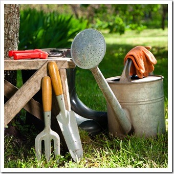 Spinal Health Gardening Fort Mill SC