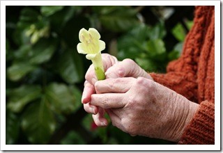 Arthritis Pain Relief Fort Mill SC
