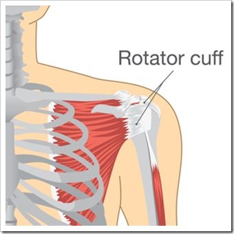 Shoulder Pain Fort Mill SC Rotator Cuff Injury